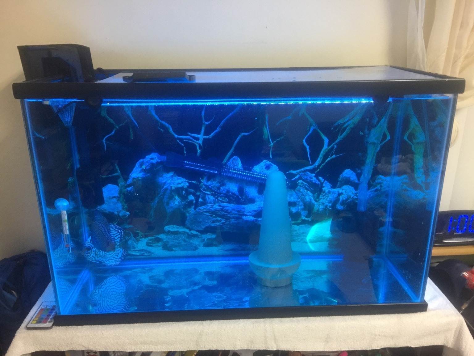 Dosage du bleu de méthylène pour les aquariums Aquablog