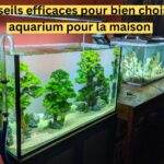 4 Conseils efficaces pour bien choisir un aquarium pour la maison